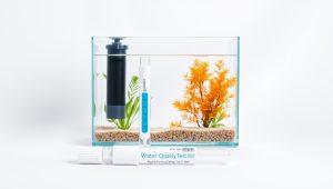 Best Water Quality Test Kit Aquarium 2026
