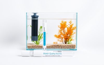 Best Water Quality Test Kit Aquarium 2026