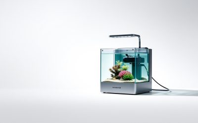 Best Wavemaker For Saltwater Aquarium 2026
