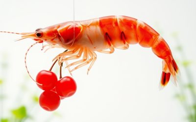 Cherry Shrimp Care Guide: Setup, Feeding, and Best Supplies