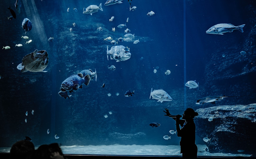 The Aquarium Nitrogen Cycle Explained for Beginners