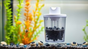 Best Fish Tank Filter for 10 Gallon Tanks (2024)