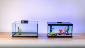 Best Fish Tank Lid and Cover Options: Keeping Fish Safe and Water Clean
