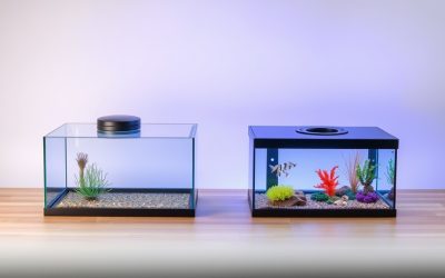 Best Fish Tank Lid and Cover Options: Keeping Fish Safe and Water Clean
