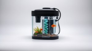 Fish Tank Nitrogen Cycle Guide: How to Cycle Your Aquarium Safely