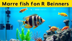 Best Marine Fish for Beginners: Easy Hardy Species