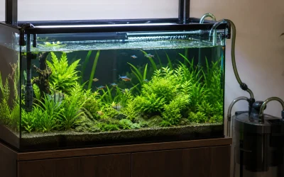 Aquarium Filter Flow Rate: Size Without Chasing Turnover
