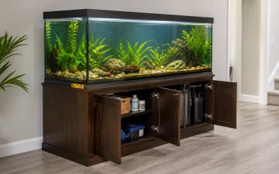 Aquarium Stand Weight Capacity: A Safety Checklist