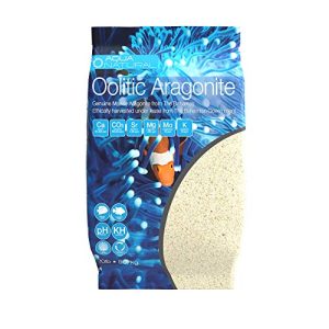 Aquarium Substrate for Marine Tanks: Aragonite vs. Live Sand