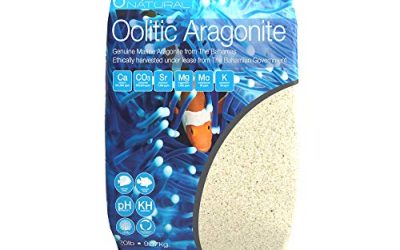 Aquarium Substrate for Marine Tanks: Aragonite vs. Live Sand