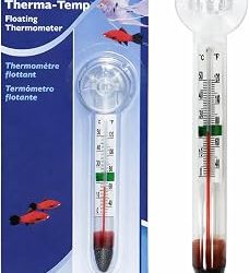 Aquarium Thermometer Types: Digital vs. Analog – Which to Buy?