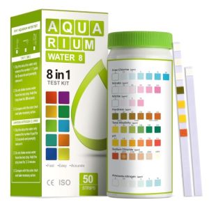 Best Affordable Saltwater Aquarium Kits for Beginners 2026