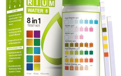 Best Affordable Saltwater Aquarium Kits for Beginners 2026