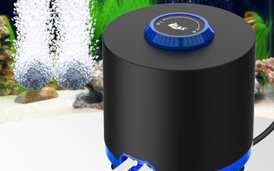 Best Aquarium Air Pumps for Large Tanks (Quiet & Powerful)