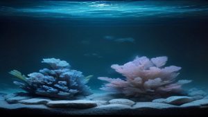 Best Aquarium Rocks Aquascaping (2026)