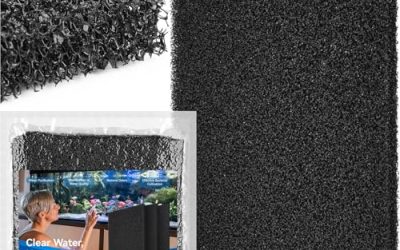 Best Budget Aquarium Filters for Beginners: Top Picks 2026