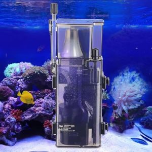 Best Budget Protein Skimmers for Small Reef Tanks on Amazon