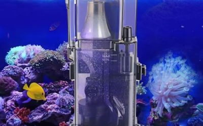 Best Budget Protein Skimmers for Small Reef Tanks on Amazon