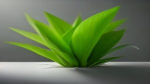 Best Silk Aquarium Plants (2026)