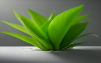 Best Silk Aquarium Plants (2026)