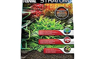 Choosing the Right Aquarium Substrate for Goldfish Tanks