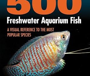 Heaterless Aquarium for Tropical Fish: Myths vs. Reality