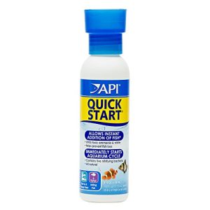 How to Quarantine New Fish Before Adding Them to Your Aquarium