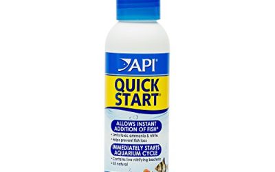 How to Quarantine New Fish Before Adding Them to Your Aquarium