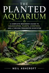 How to Set Up a Low-Maintenance Freshwater Planted Aquarium