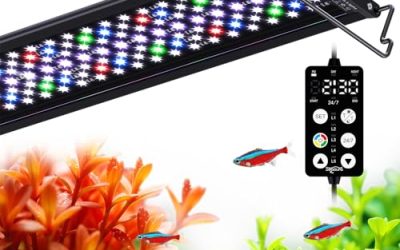 LED Aquarium Light vs. Fluorescent: Which is Better for Plant Growth?