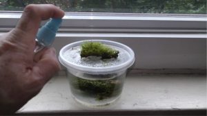 How to Soften Aquarium Water Safely: Numbers First Guide