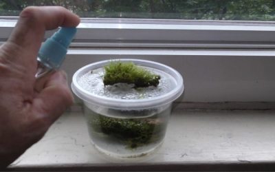 How to Soften Aquarium Water Safely: Numbers First Guide