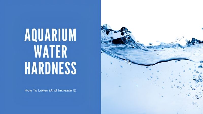 Measure Before You Add Any Minerals