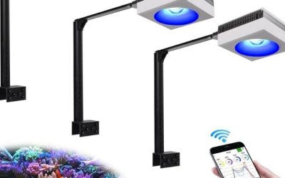 Best Reef Light Controller and Wifi Dongle: How to Pick