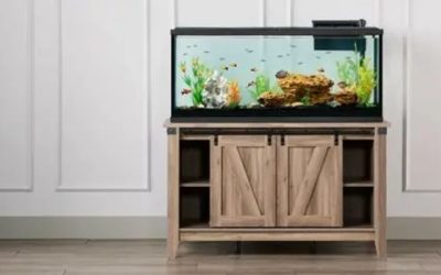 Best Aquarium Stand: Load Rating, Footprint and Material
