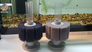 Air Stone vs Sponge Filter for Oxygen: A Clear Expert Guide