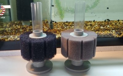 Air Stone vs Sponge Filter for Oxygen: A Clear Expert Guide