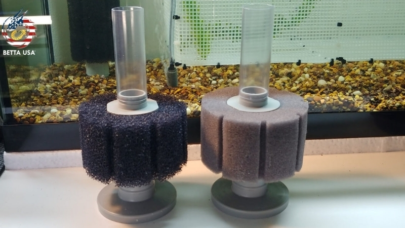 air stone vs sponge filter for oxygen
