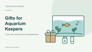 Gifts for Aquarium Keepers: Safe Picks When You Don’t Know Their Tank