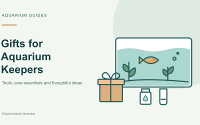 Gifts for Aquarium Keepers: Safe Picks When You Don’t Know Their Tank