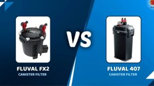 Aqueon QuietFlow Canister vs Fluval 307: Expert Top Pick