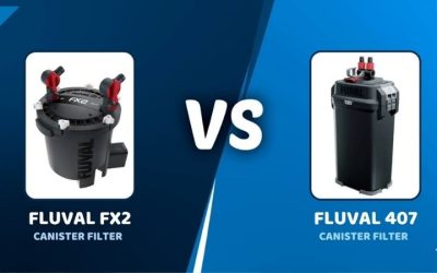 Aqueon QuietFlow Canister vs Fluval 307: Expert Top Pick