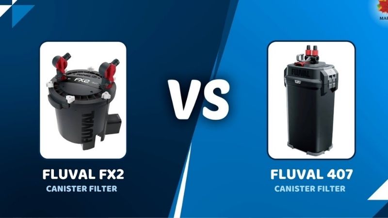 How to Choose a Canister Filter