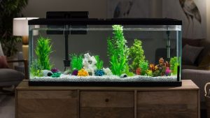 Aqueon vs Tetra Aquarium Kits Which Is Better: Top Tested