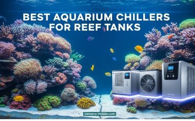 Best 1/3 HP Aquarium Chiller for Reef Tanks: Smart Top Picks