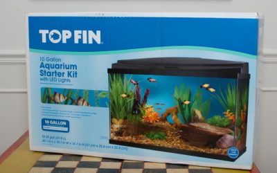 Best 10 Gallon Aquarium Starter Kit: Best Compared Buyer Guide