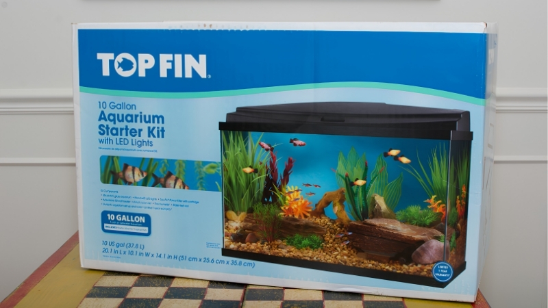 best 10 gallon aquarium starter kit