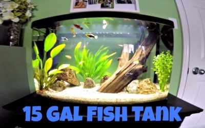 Best 15 Gallon Aquarium: Best Proven Well-Researched Guide