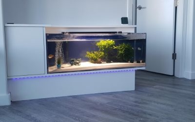 Best 150 Gallon Acrylic Aquarium: Top Compared Expert Guide