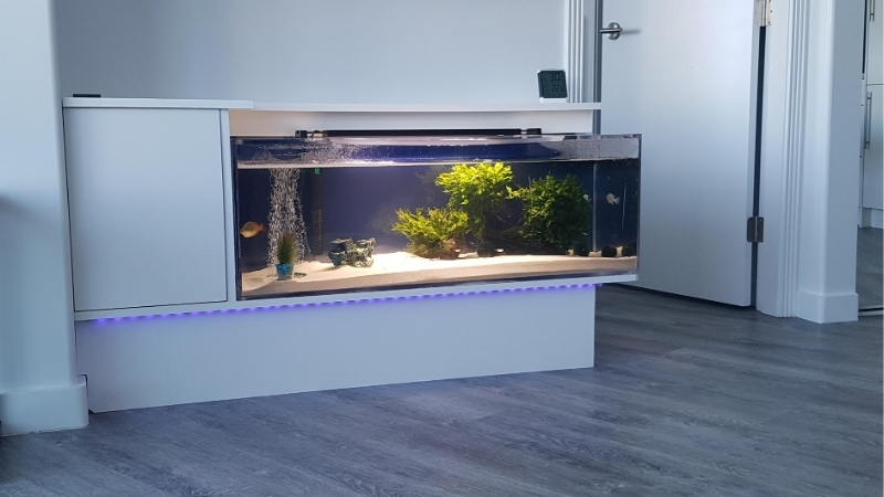 best 150 gallon acrylic aquarium